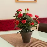 Ferienwohnung Fuer 6 Personen Ca 85 Qm In Barcelona-Ciutat Vella, Costa Brava Costa Del Maresme