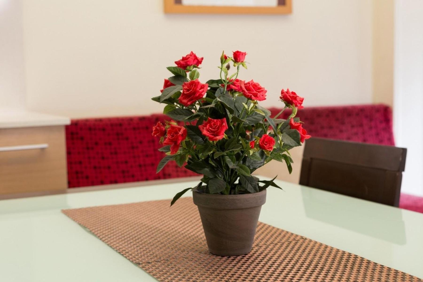 Appartement Fuer 6 Personen Ca 85 Qm In Barcelona-ciutat Vella, Costa Brava Costa Del Maresme Barcelone